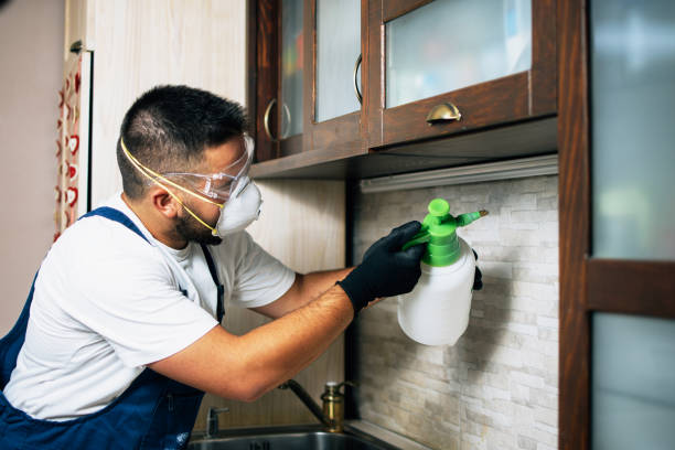 Best Affordable Pest Control Services  in Caledonia, WI