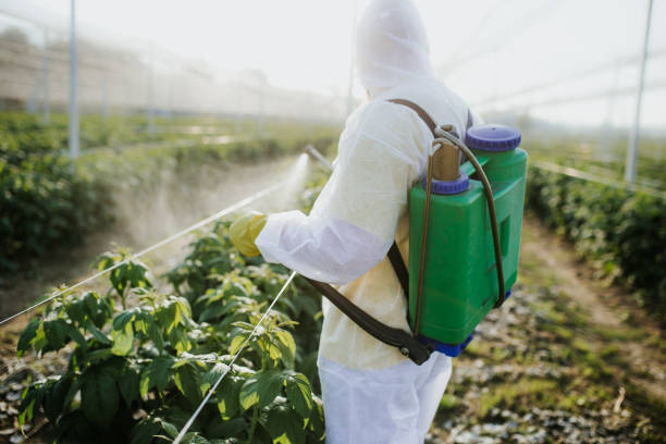 Best Local Pest Control Services  in Caledonia, WI